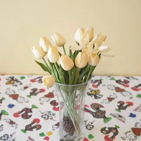 Falesia 阿尔布费拉